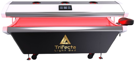 Photobiomodulation Therapy